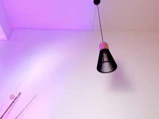 valkavega webcam