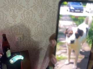 Mira