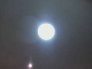 raven-loove