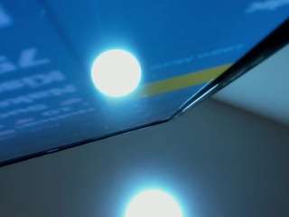 Raven-loove