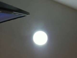raven-loove