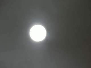 raven-loove live profile