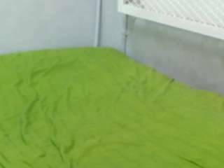 WildVinexxx
