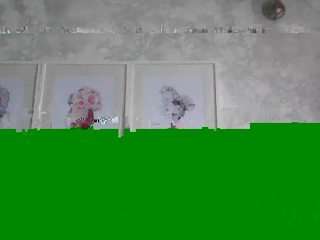 Pamella007