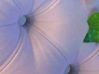 sallyecha webcam