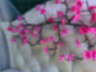 SallyeCha live webcam show