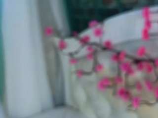 sallyecha