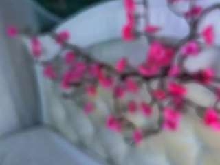 sallyecha