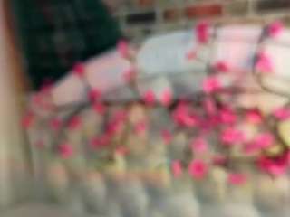 SallyeCha live cam preview