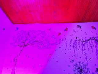 sofiiadiiaz webcam