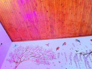 sofiiadiiaz live webcam show