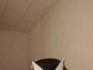 valenora1