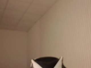 valenora1