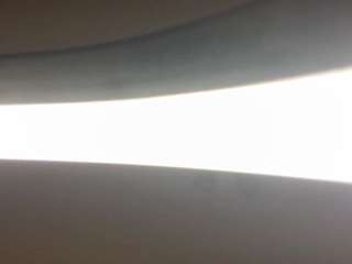 EstaMenucci