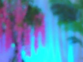 evahair webcam