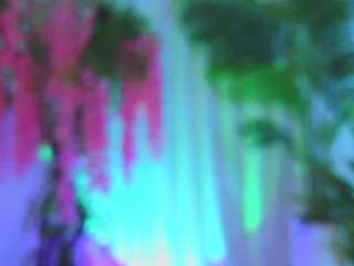 EvaHair