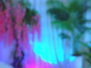 evahair webcam