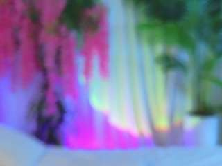 evahair webcam