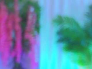 EvaHair