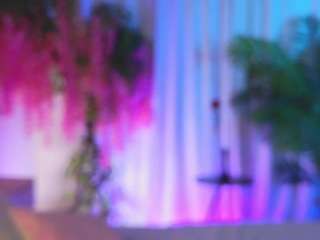 evahair Sex Cam Show