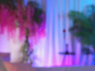 evahair Sex Cam Show