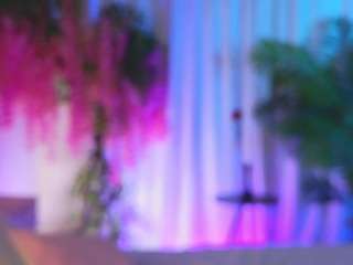 evahair Sex Cam Show