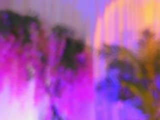 EvaHair