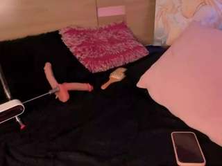 kittyvelve