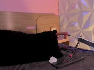 kittyvelve
