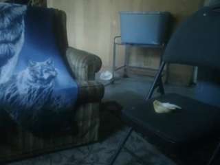 oneinch11's live room