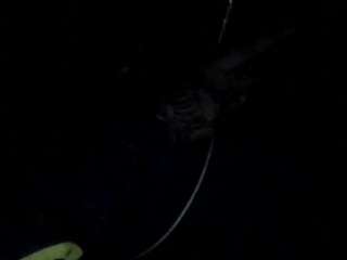 gatz7 webcam