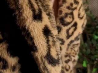 Nikki live cam preview