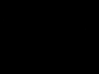 selene-diior