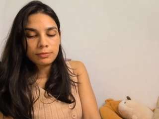 lanettedreith webcam