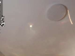 LupeRuthenberg live cam preview