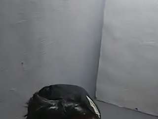 troxergm55