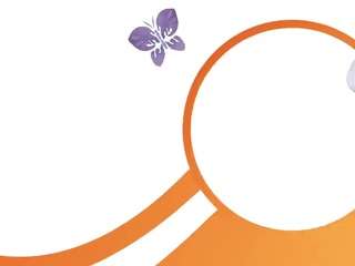 benitanalley