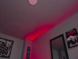 Draculairis
