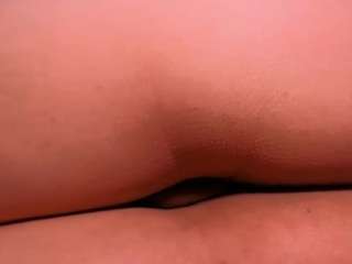 perla-cambell