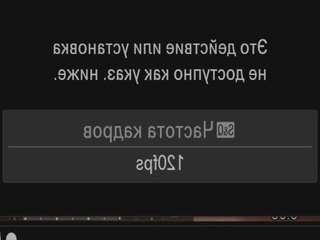 SkyNyxx