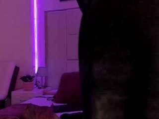 agatha11