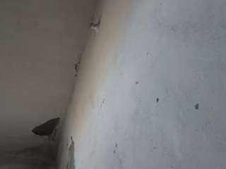 pujaku86 webcam