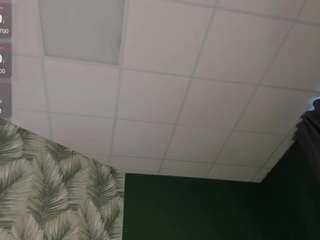 stella-colli