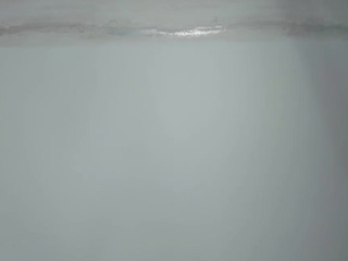 isafoxx26