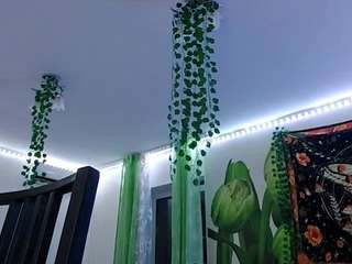 irishkiesz