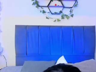 Ambarr live cam preview