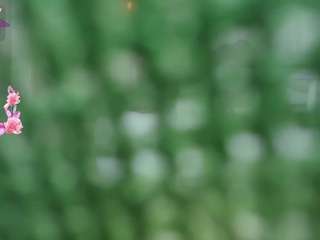 HayamiLi live cam