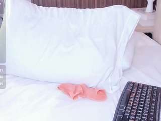 HayamiLi