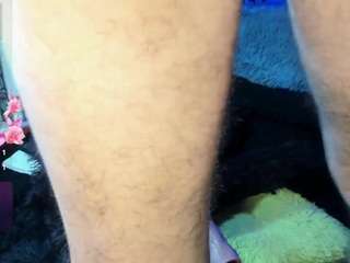 hugocams