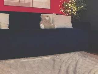 selenaalluree's live room